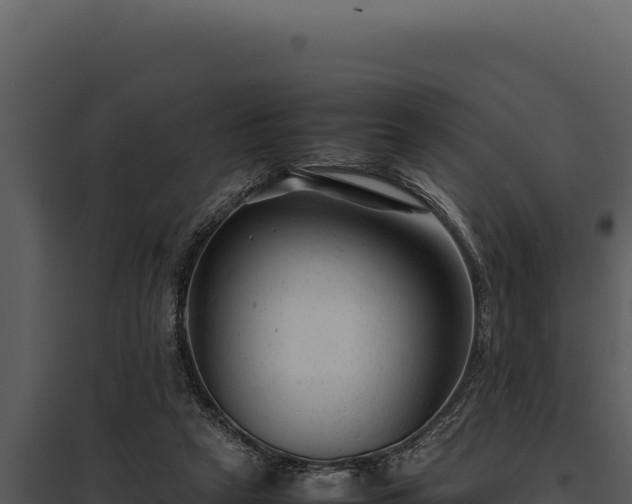 X0000097960257200804011704