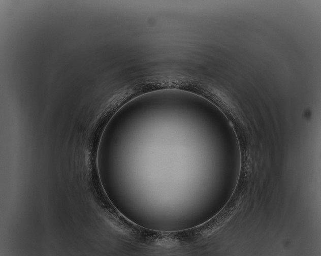 X0000097960258200804011704