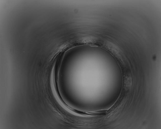 X0000097960260200804011704