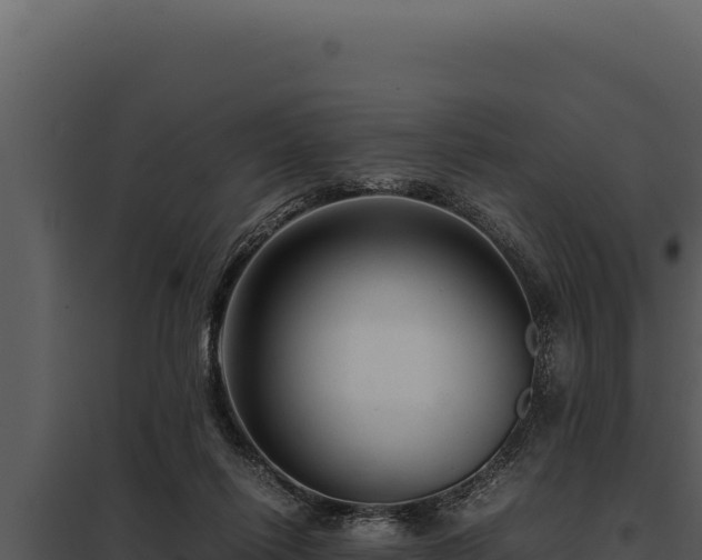 X0000097960262200804011704