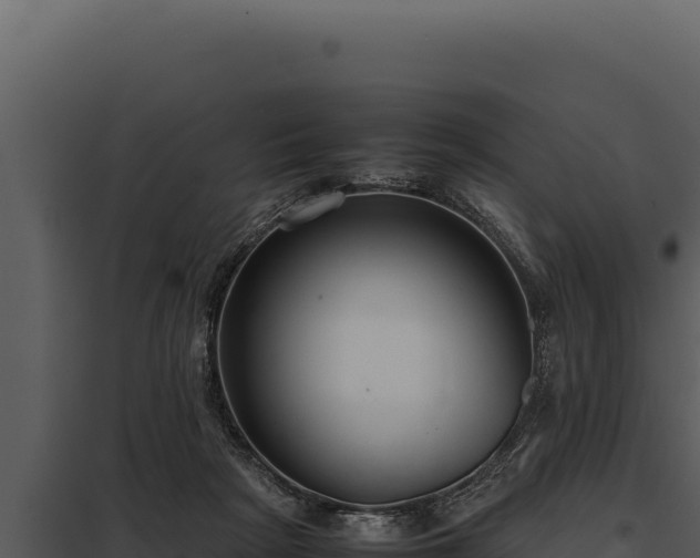 X0000097960265200804011704