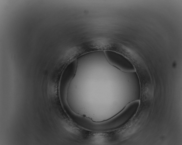 X0000097960268200804011704