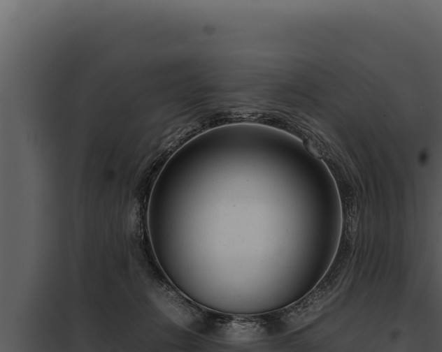 X0000097960270200804011705