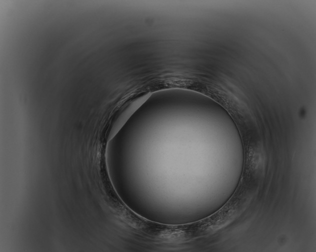 X0000097960271200804011705