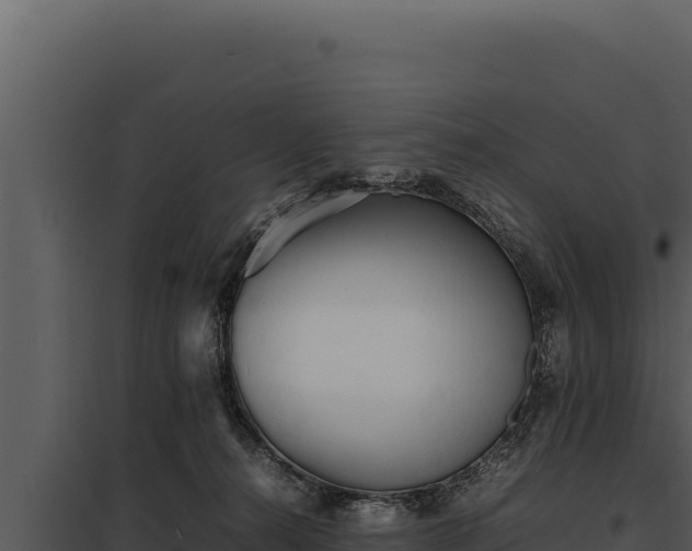 X0000097960272200804011705