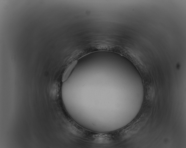 X0000097960273200804011705