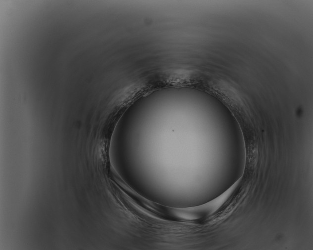 X0000097960280200804011705