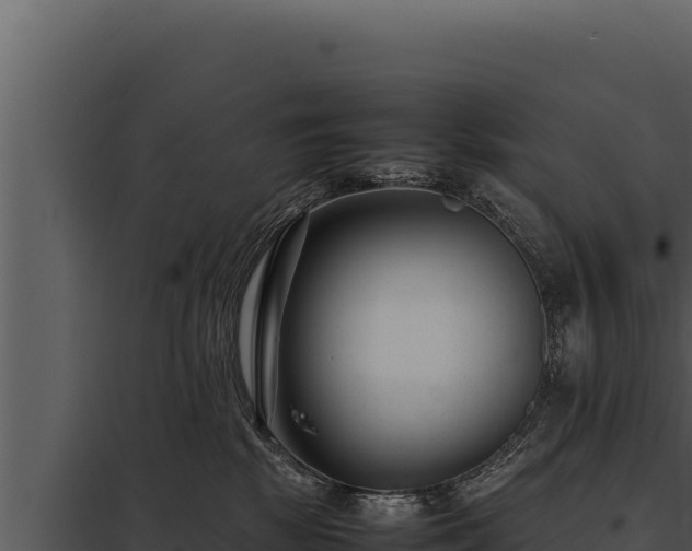 X0000097960281200804011705