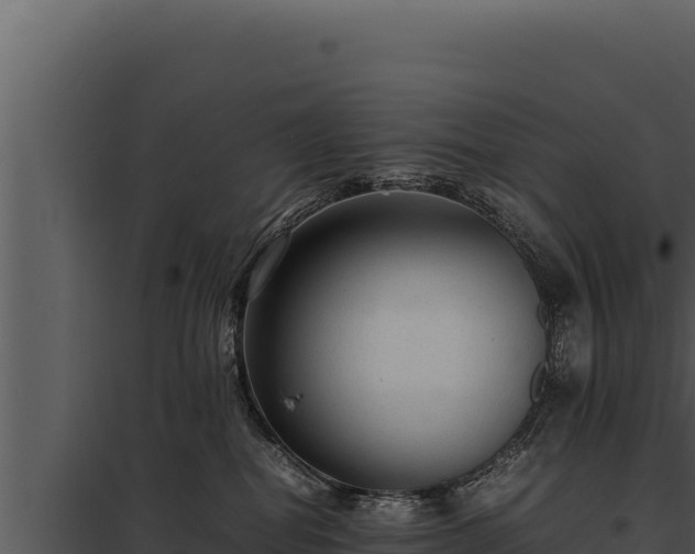 X0000097960282200804011705