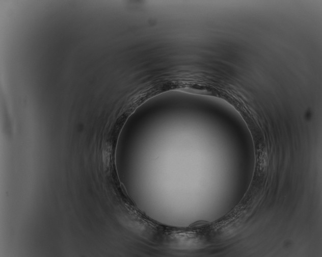 X0000097960283200804011705