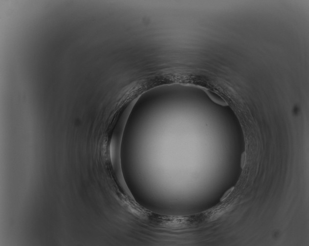 X0000097960288200804011705