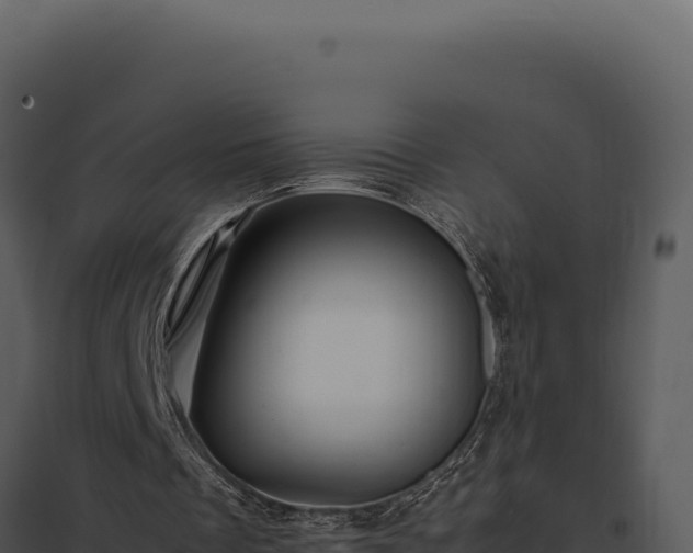 X0000097960289200804011704