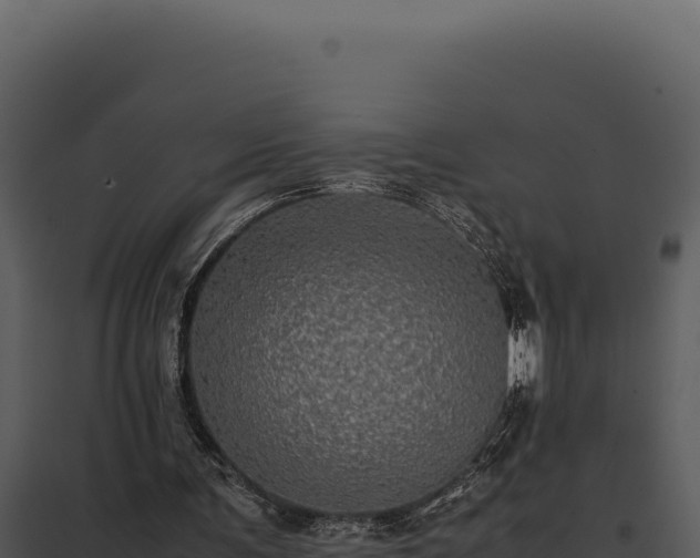 X0000097960291200804011704