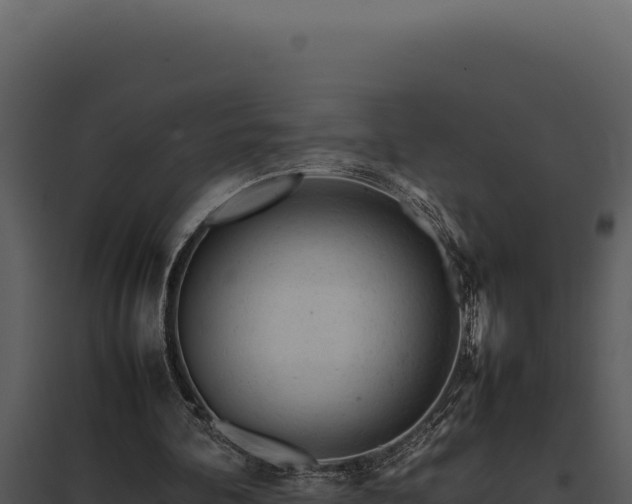 X0000097960292200804011704