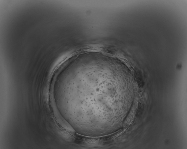 X0000097960293200804011704