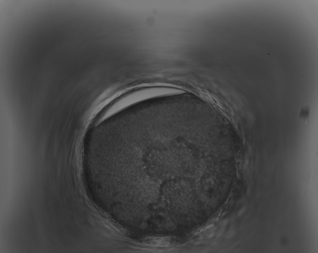X0000097960295200804011704