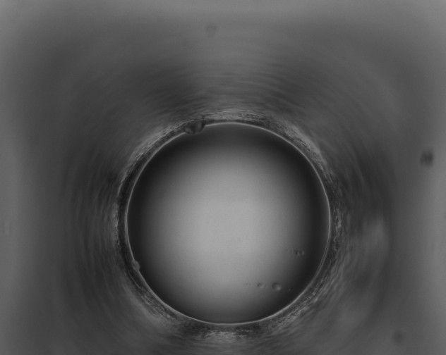 X0000097960298200804011704