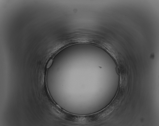 X0000097960301200804011704