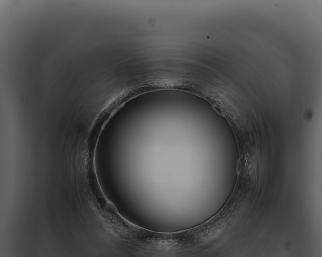 X0000097960304200804011704