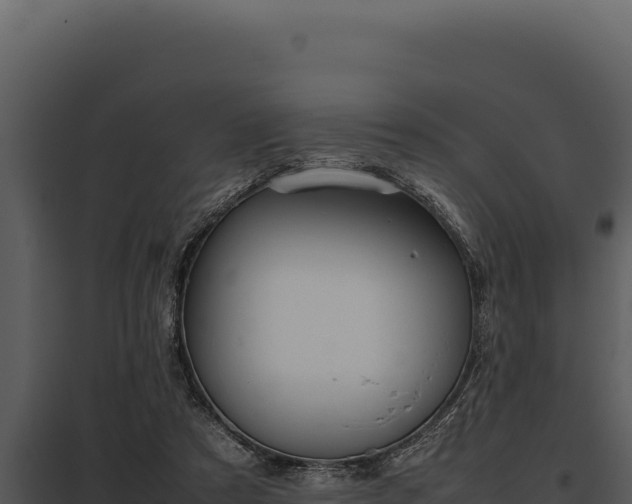 X0000097960305200804011704