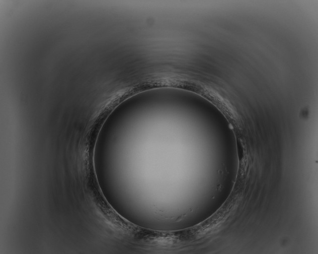 X0000097960306200804011704