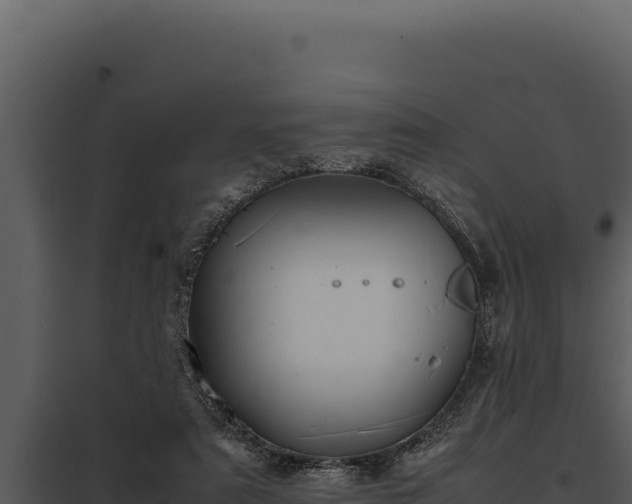 X0000097960307200804011704