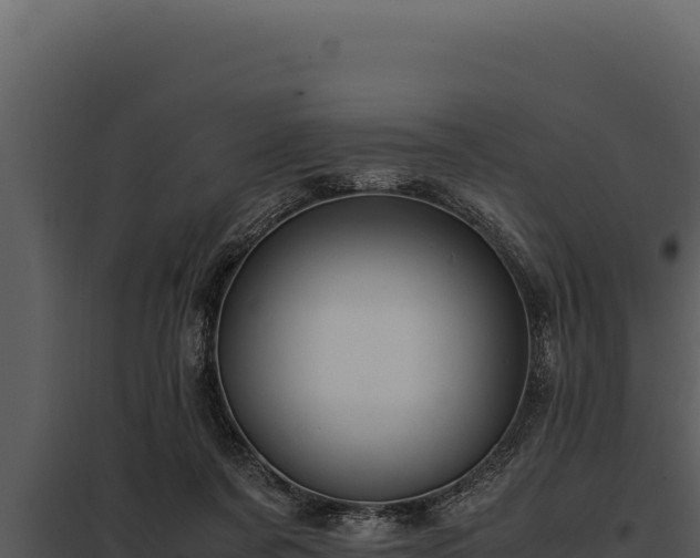 X0000097960311200804011704