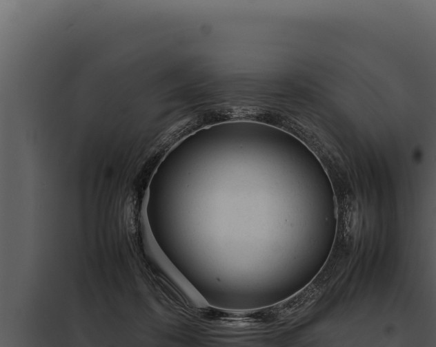 X0000097960316200804011704