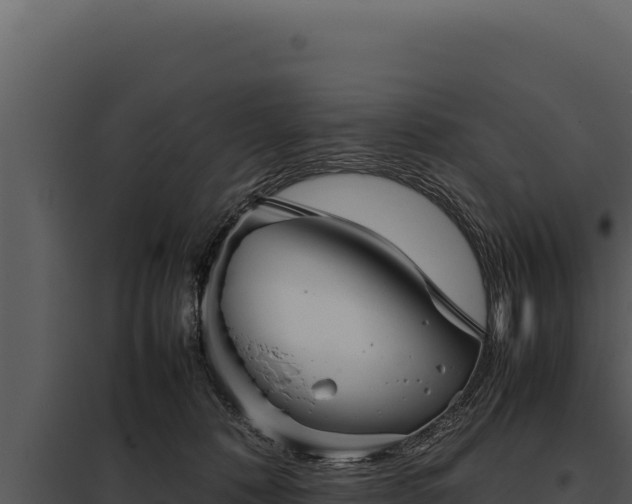 X0000097960320200804011704