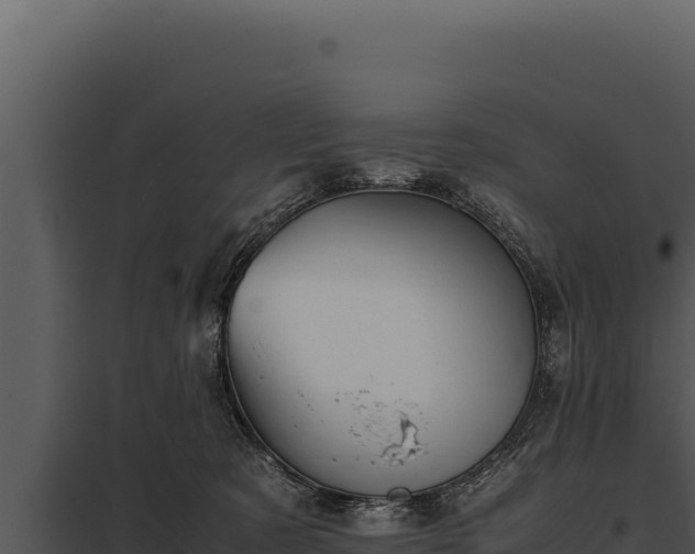 X0000097960321200804011704