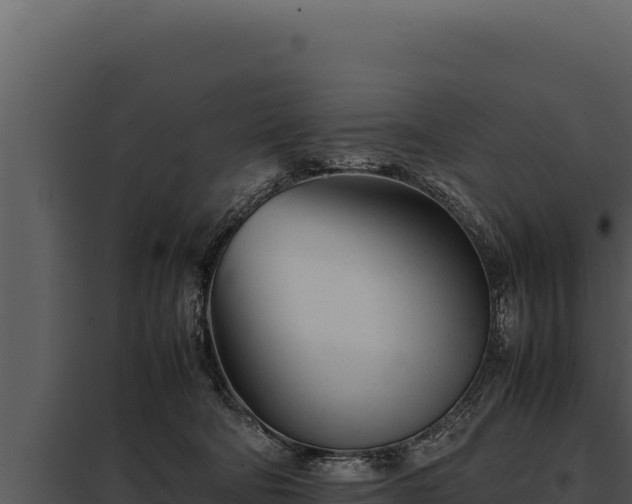X0000097960322200804011704