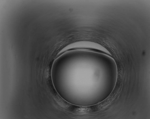 X0000097960323200804011704