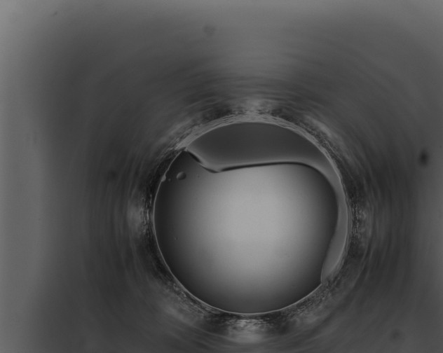 X0000097960324200804011704