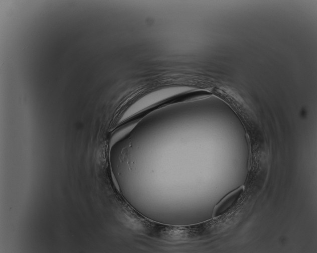 X0000097960325200804011704
