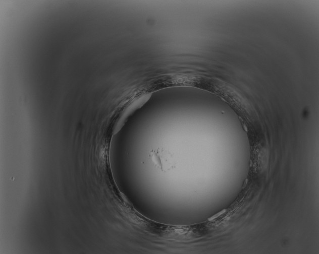 X0000097960329200804011704