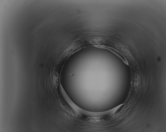 X0000097960332200804011704