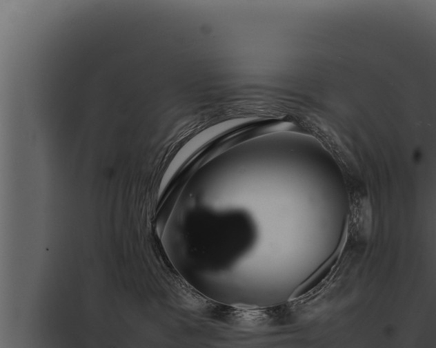 X0000097960333200804011703