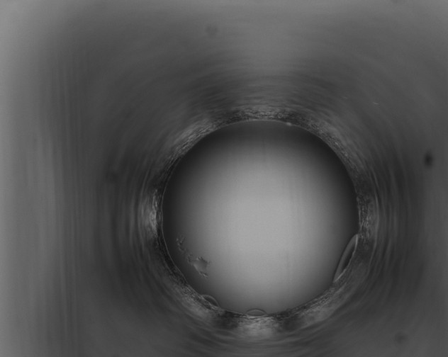 X0000097960334200804011703