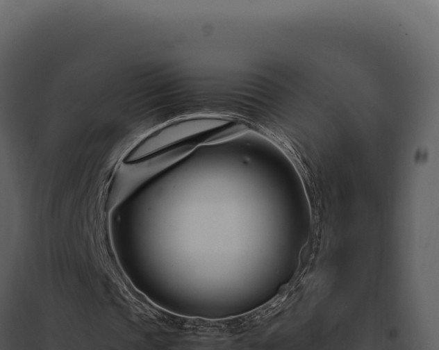 X0000097960337200804011703