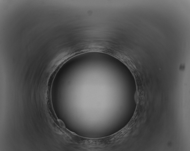 X0000097960338200804011703