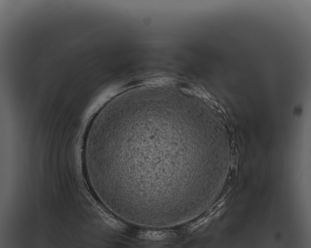 X0000097960341200804011703