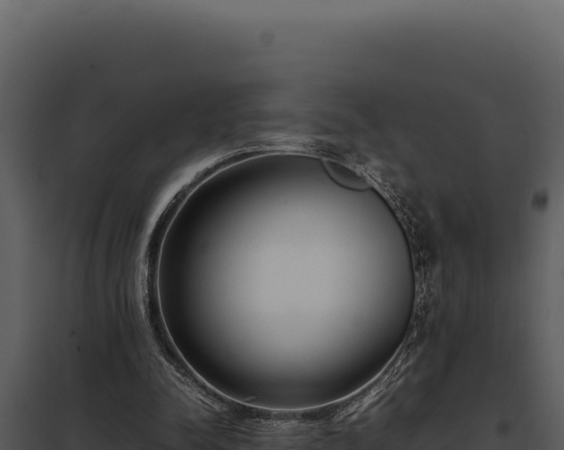 X0000097960342200804011703