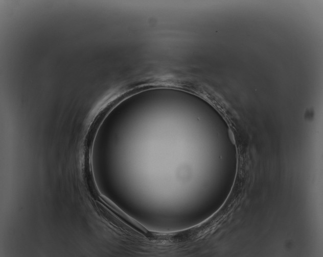 X0000097960344200804011703