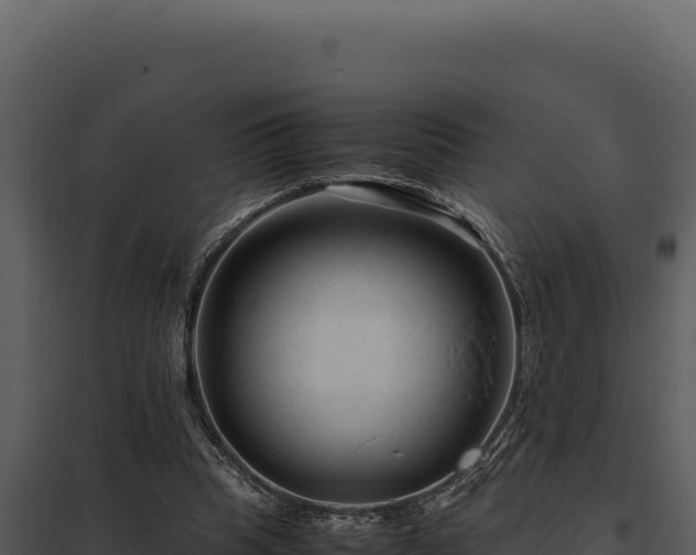 X0000097960345200804011703