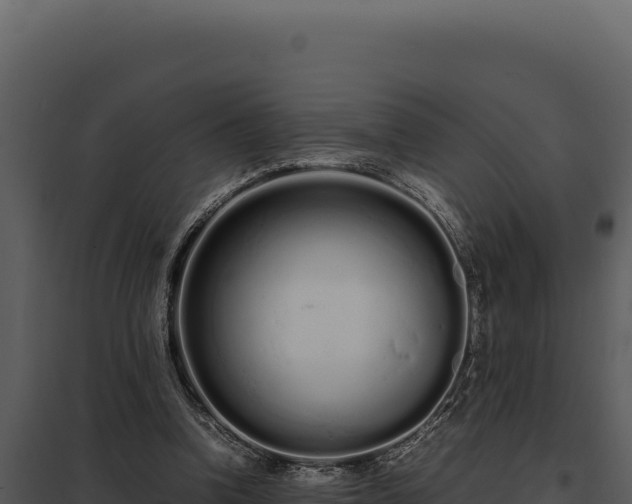 X0000097960346200804011703