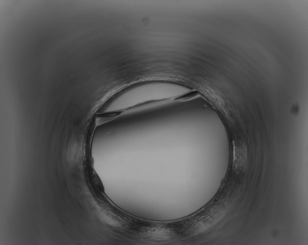 X0000097960348200804011703