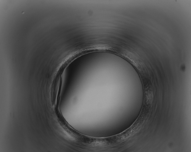 X0000097960350200804011703