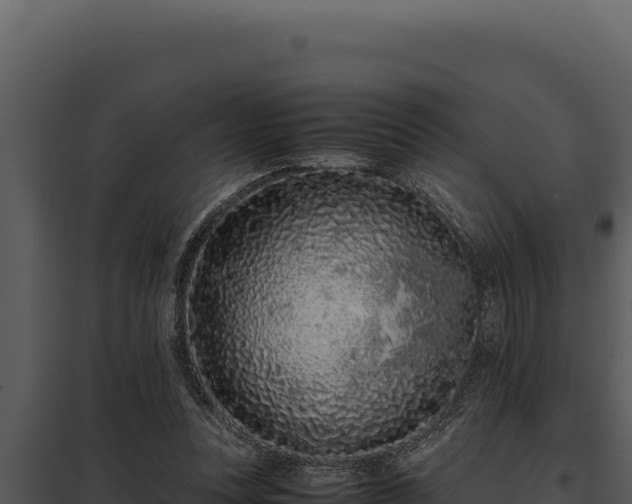 X0000097960351200804011703