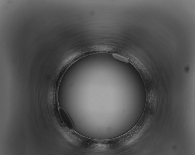 X0000097960352200804011703