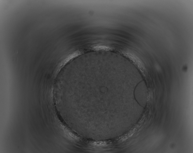 X0000097960353200804011703